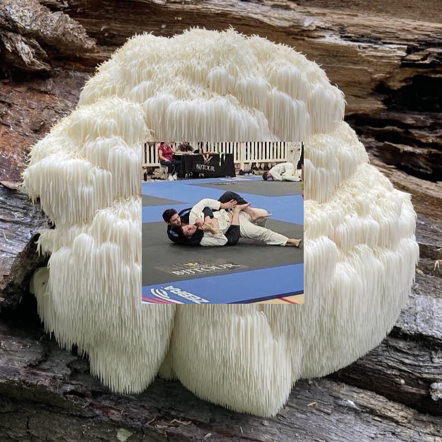 Healing Without the Hype: My Real Story with Lion's Mane